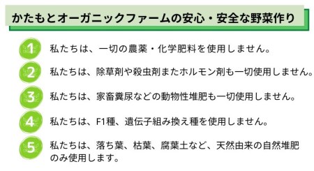 【12回定期便】京都府・亀岡産 自然農法＆農薬を使わずに育てた体も心も喜ぶ、かたもとオーガニックファームの季節のお野菜セット 毎回10～20品目　※離島への発送不可