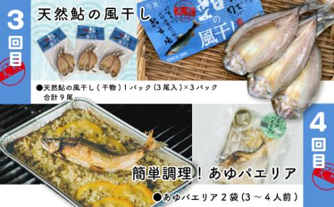 【4回定期便】鮎づくし！清流四万十川で育った天然鮎の定期便