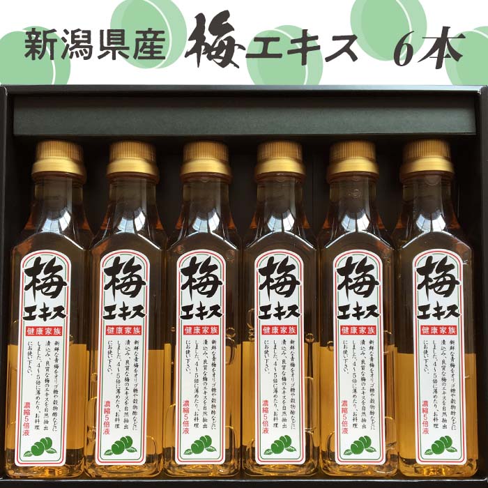 【ふるさと納税】27-03A新潟県産梅エキス6本セット