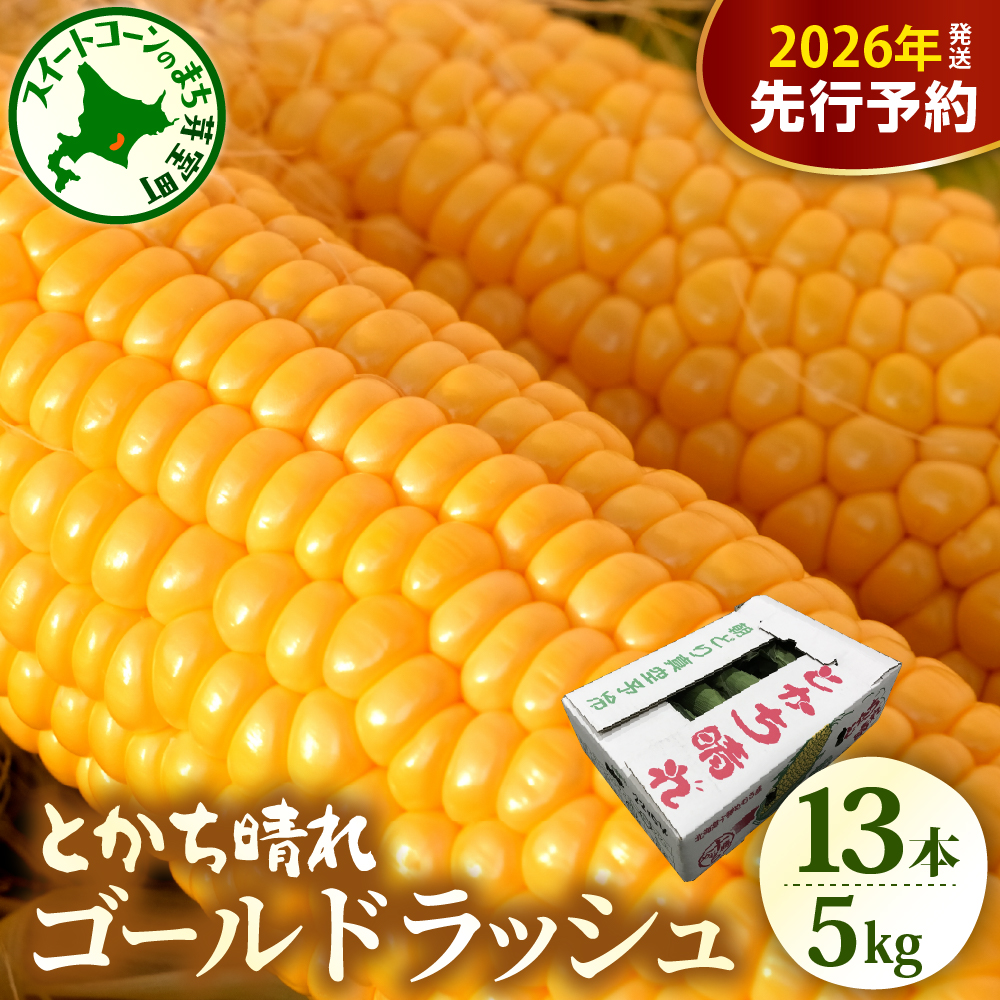 【先行受付】【2026年7月下旬～8月10日頃配送】北海道十勝芽室町　とかち晴れ　十勝めむろスイートコーン 13本入り　キャンプ飯 BBQ ソロキャン 人気 とうもろこし コーン 生 甘い 大粒 大容量 野菜 北海道 十勝 芽室町 めむろ 送料無料 お取り寄せ 贈り物 me010-005c-26