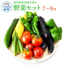 【ふるさと納税】先行予約 野菜セット（7‐9種類）栽培期間中農薬不使用！ 季節の野菜 詰め合わせ セット旬 無農薬 野菜 やさい 新鮮 自然 健康 冷蔵 美味しい おいしい 食べ物 食材 秋 旬の味覚 ご当地 お取り寄せ 芸西村 6000円 故郷納税 ふるさとのうぜい 高知県産 高知