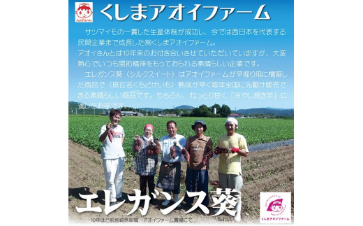 【全6回】毎月1種類ずつ届く 冷やし焼き芋定期便 約1kg×6回（計3種） 芋スイーツ H047-039