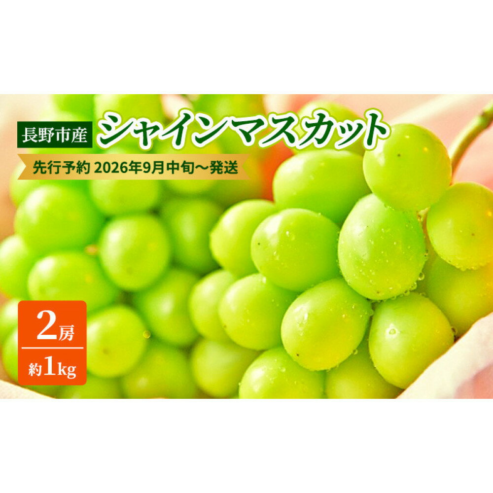 【ふるさと納税】本気農場いけだ　長野市産シャインマスカット2房（約1kg）【2026年9月中旬以降の出荷分】 | シャインマスカット ぶどう フルーツ 果物 国産 人気 おすすめ ギフト プレゼント 送料無料 長野県 長野市 信州 信濃 ふるさと納税