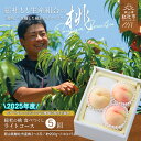 【ふるさと納税】【2025年産先行予約】もも 桃 岡山県 白桃 食べつくし ライトコース （約1kg×5回配送） 定期便 総社市産 岡山県総社もも生産組合 25-070-001