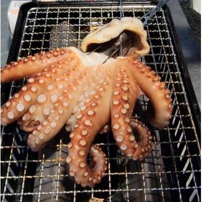 ふるさと納税 茨木市 灰干しマダコ |  | 01