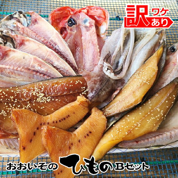 【ふるさと納税】おおいその干物Bセット／ 季節によって多少内容が変わる訳あり品【 ひもの 魚 天日干し 神奈川県　大磯 湘南 特産品 神奈川県 大磯町 自家製干物 贈答品 地魚 大磯産 干物　父の日 】