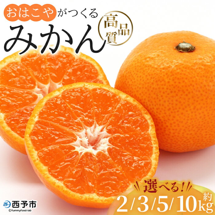 【ふるさと納税】＜おはこやがつくる 高品質みかん 約2/3/5/10kg（S～Lサイズ）＞ 果物 くだもの フルーツ 柑橘 みかん ミカン 蜜柑 まろやか 絶妙 特産品 西宇和 おはこや 愛媛県 西予市 【常温】『2025年11月中旬から12月中旬迄に順次出荷予定』