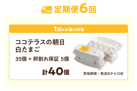【6ヵ月定期便】ココテラスの朝日（白たまご）35個 + 5個保証（計40個）【JGAP認証】 農家直送 新鮮 卵 タマゴ 白卵 玉子 鶏卵 朝食 夕食 夜食 朝ごはん たまご焼き だし巻き卵 オムレツ