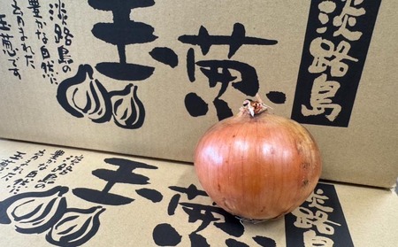 淡路島玉葱　10kg　◆配送８月上旬～翌年２月中旬