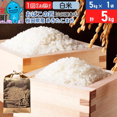 ふるさと納税 美郷町 おばこの匠 秋田県産あきたこまち 5kg(白米)|01_ymh-110501