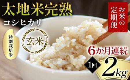 【先行予約】お米の定期便 特別栽培米 太地米完熟 【こしひかり】 玄米2kg×6か月連続 ブランド米 お米 人気 F7X-0689
