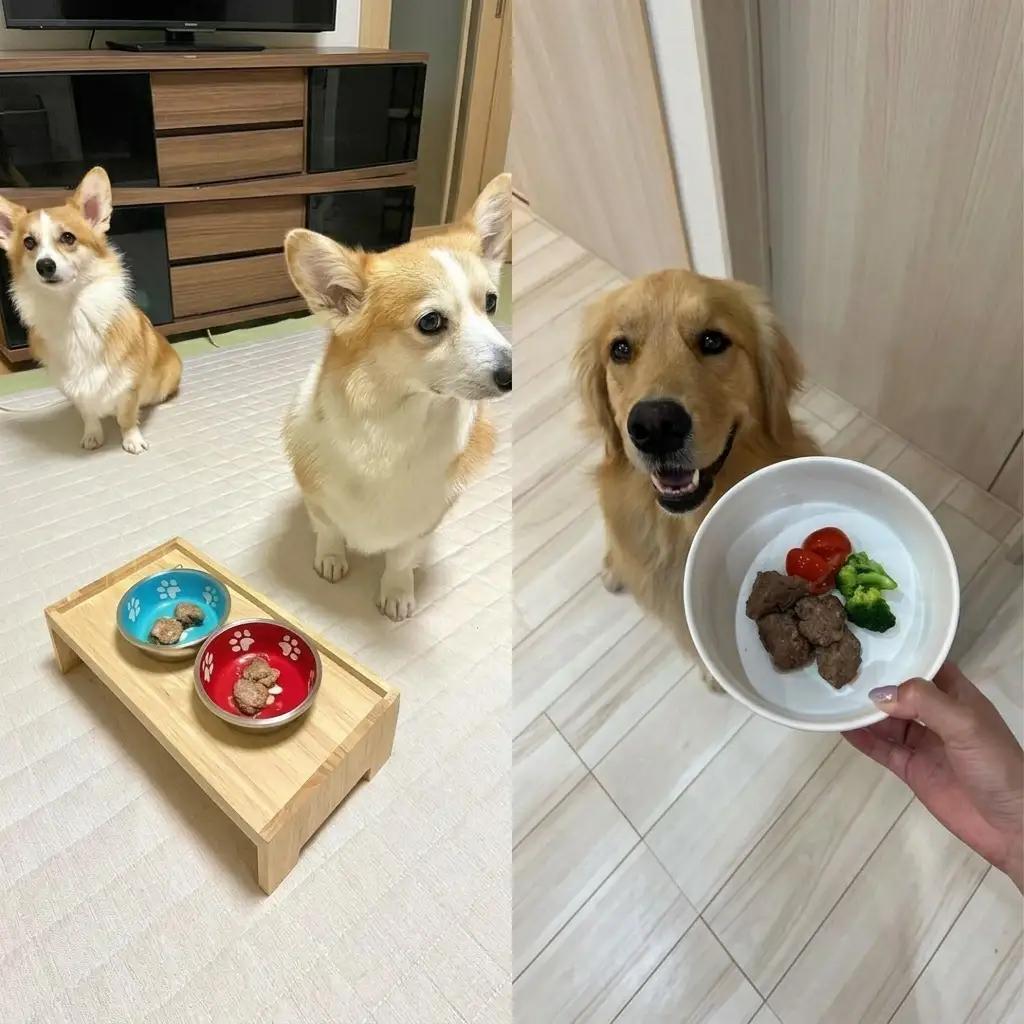 鹿肉 犬用 10パック 約60g 加工食品 お肉 鹿肉