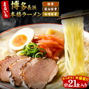 【ふるさと納税】まるいち 博多とんこつラーメン 21食入り 九州丸一食品株式会社《30日以内に出荷予定(土日祝除く)》福岡県 鞍手郡 小竹町 拉麺 ギフト対応 贈答 送料無料