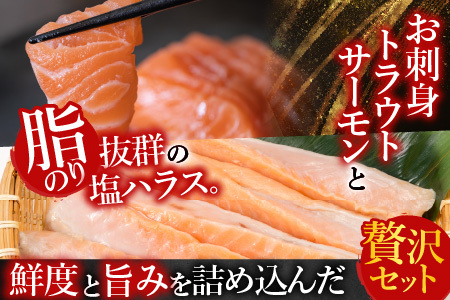 お刺身トラウトサーモン3kg＆塩サーモンハラス3.3kg D-09014