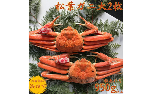 52M.■浜下商店■松葉ガニ大2枚〔浜ゆで〕