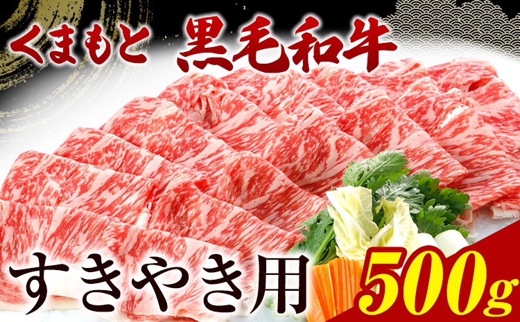 
くまもと黒毛和牛 すき焼き用 500g《30日以内に出荷予定(土日祝除く)》熊本県 葦北郡 津奈木町 津奈木食品 送料無料
