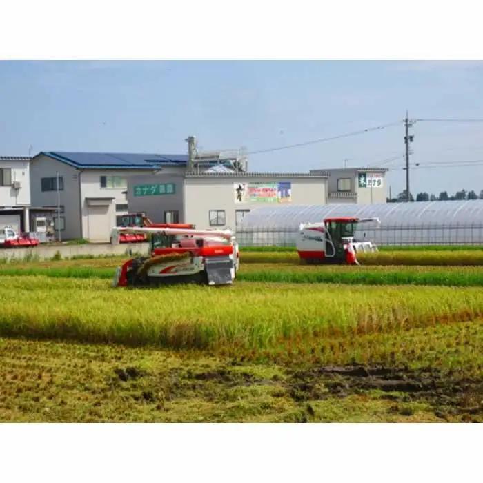 【令和7年産】富山県産こしひかり　育（はぐくみ）白米１０kg《南砺の逸品》