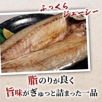 ふるさと納税 京丹後市 丹水こだわり 干物セット (さば一夜干し2枚) |  | 01