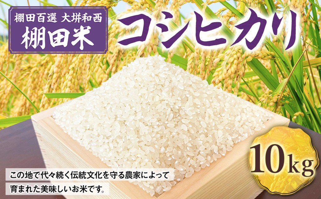 
                  ★新嘗祭 献納農家 が作った お米 ★ 棚田百選 大垪和西 棚田米 10kg （コシヒカリ）【 令和7年産 】／ 白米 米 岡山県 美咲町
                