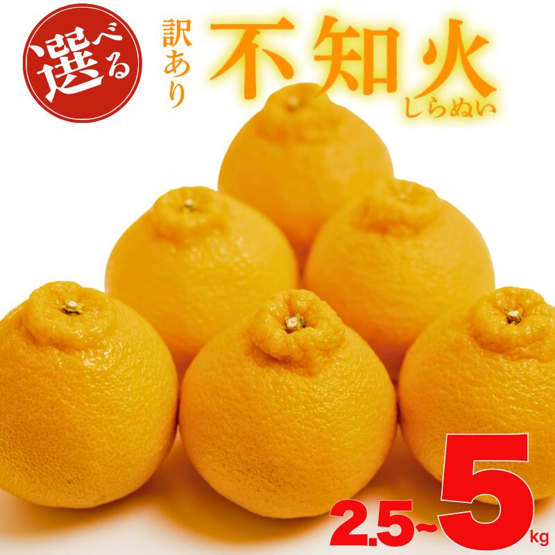 【ふるさと納税】 先行予約 選べる 容量 訳あり 減農薬 不知火 2.5kg 5kg サイズ ミックス 不揃い 柑橘 蜜柑 ミカン 家庭用 オレンジ mikan 国産 果物 フルーツ デザート ジュース 果実 果汁 甘い ジューシー 濃厚 おいしい 産地 直送 特産品 愛媛県 愛南町 愛南フルーツ
