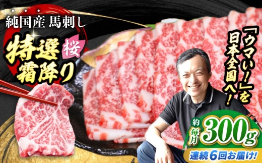 【全6回定期便】『純国産』熊本の味「桜」霜降り馬刺し「特選」 計約1.8kg（約300g×6回）  霜降り 馬肉 馬刺 / 熊本 馬刺し バサシ ばさし 馬肉 タレ付き ヘルシー 冷凍 国産 霜降り【有限会社 九州食肉産業】 [AYCN015]