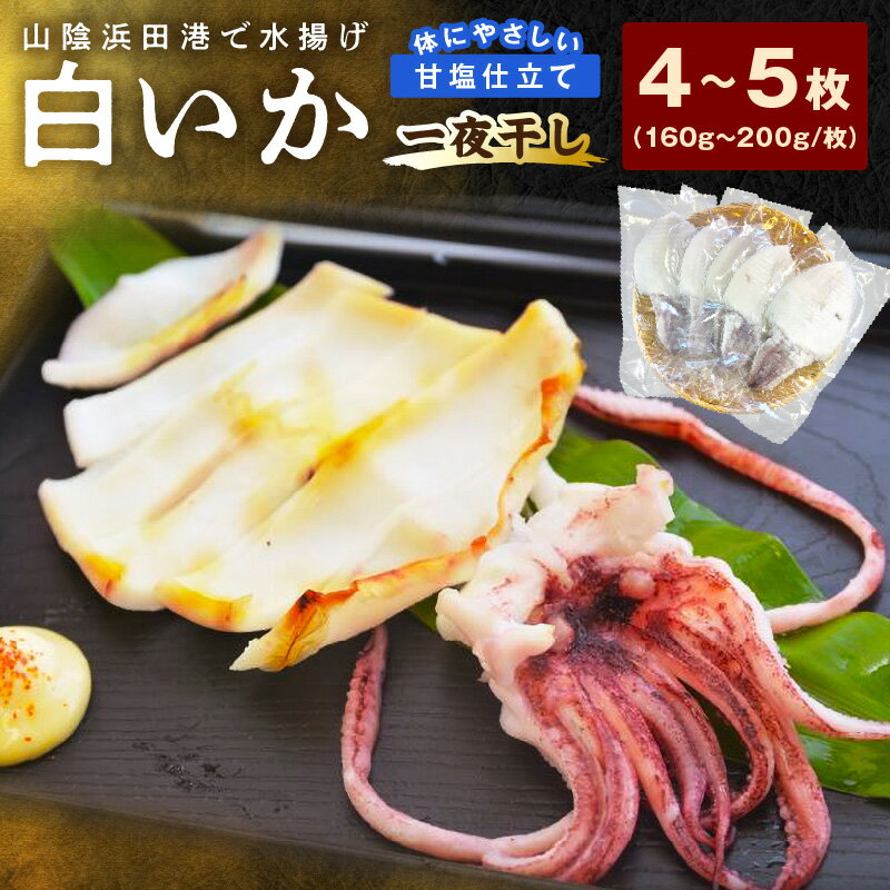 【ふるさと納税】大きな「白いか一夜干し（4枚〜5枚）」 白いか 一夜干し 干物 干もの 一夜干し 御中元 御歳暮 ギフト 新鮮 厳選 海鮮 セット 個包装 魚介類 【136_1181】