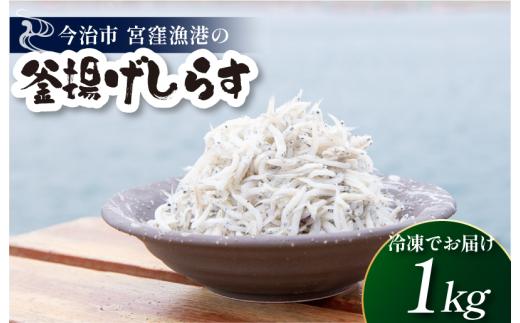 宮窪の漁師が獲った「釜揚げシラス」＜満腹セット1kg（冷凍真空包装200g×5袋）＞【V002810SET5】
