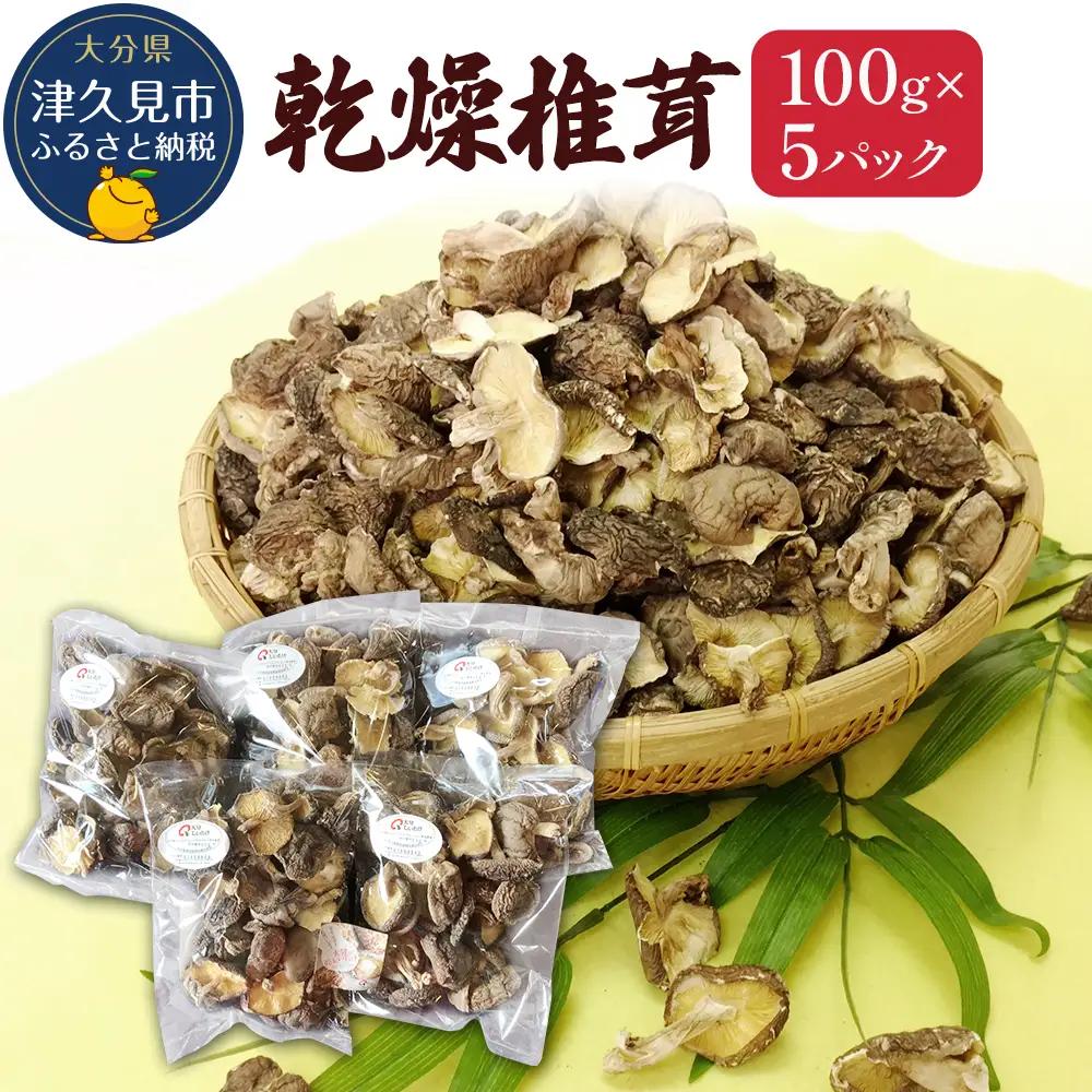 乾燥椎茸 訳あり 椎茸100g×5パック | 津久見市