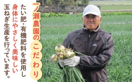 新玉ねぎ （サイズ混合） 約5kg / 玉葱 早生 [IBQ003]