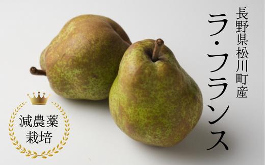 
            YN10-25A 洋梨 ラ・フランス 約3kg 減農薬栽培 秀品／2025年10月中旬～11月上旬頃 配送予定 // 洋ナシ 洋なし 洋梨 ラフランス 減農薬栽培 農家直送 農家支援 長野県 松川町 南信州
          