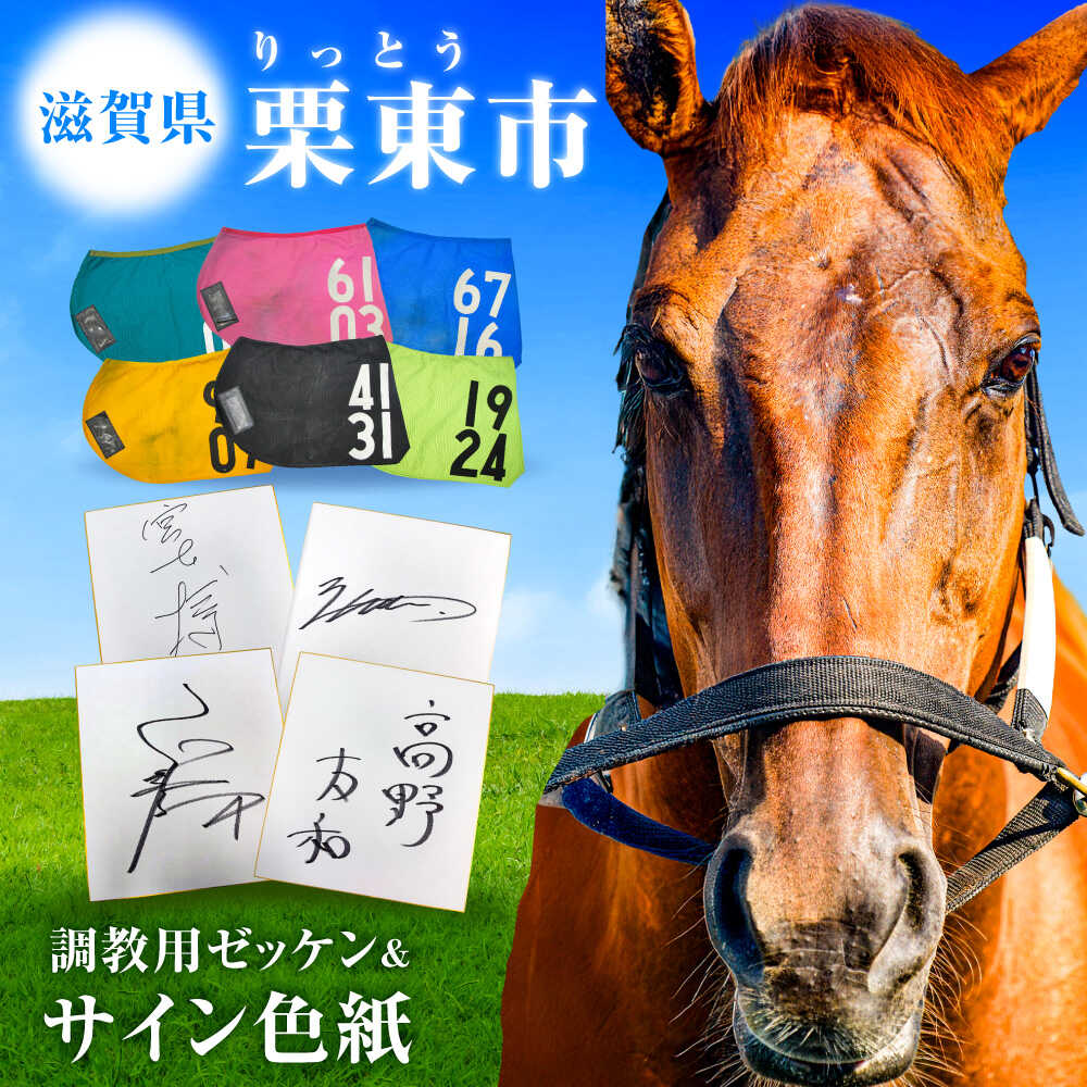 【ふるさと納税】【JRA/日本中央競馬会】調教用ゼッケンと調教師サイン色紙 （栗東カラー）/ 競馬 競走馬 馬 競馬グッズ 騎手 JRA ウマ 滋賀県 栗東トレーニングセンター サラブレッド コレクション 趣味 アート サイン / 栗東市 / 栗東市役所[BIAM006]