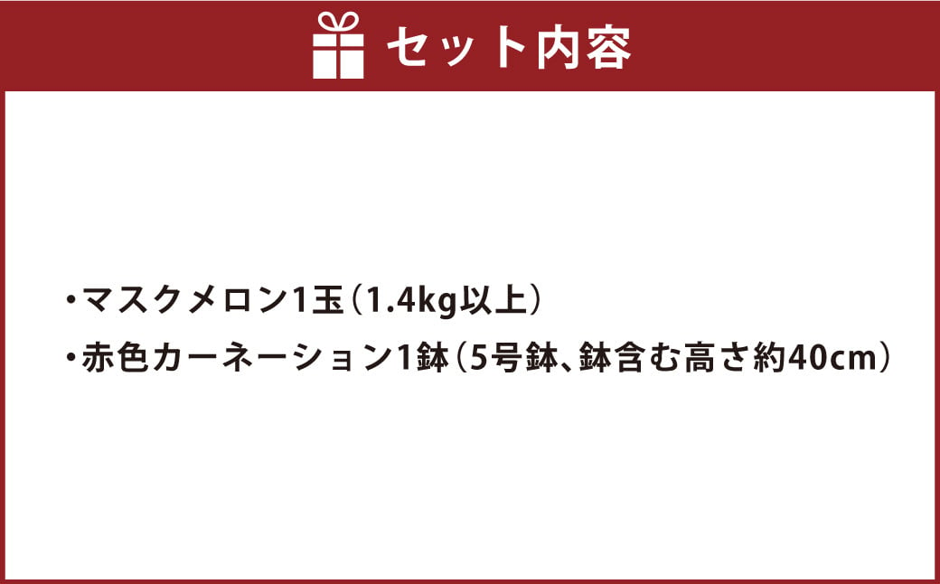 《母の日》 マスクメロン1玉とカーネーション1鉢