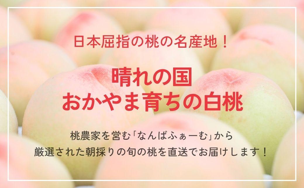 ＜数量限定＞［なんばふぁーむ］岡山県産 旬の桃 4.0kg（11～14玉）［ご家庭用］【2026年発送】