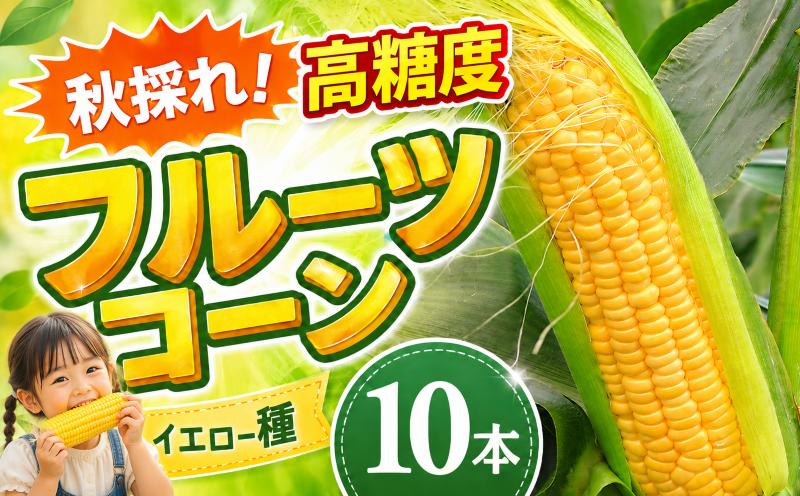 【先行予約】【2026年11月~順次発送】　秋採れ 南国フルーツコーン イエロー種 10本 | ゴールドラッシュ とうもろこし トウモロコシ コーン スイートコーン もぎたて 新鮮 朝採れ 朝どり 夏
