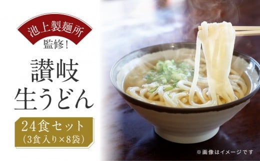 
讃岐生うどん24食入（1袋3食入×8袋）＊鎌田醤油だし醤油付＊池上製麺所監修！｜うどん 生麺
