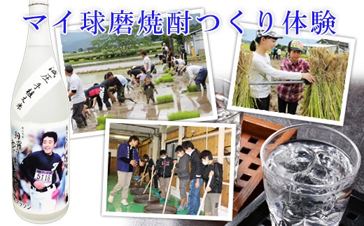 マイ球磨焼酎つくり体験オーナー制度　【焼酎造り体験：田植え・稲刈り・焼酎仕込み　計3種】　【お礼の品：米焼酎4合瓶(常圧1本、減圧1本　計2本)】
