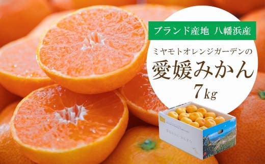 ＜2025年11月より順次発送＞西宇和地区八幡浜市産 愛媛みかん 7kg＜E25-123＞_ みかん ミカン 柑橘 フルーツ ふるーつ 果物 くだもの 青果 温州 甘い 濃厚 愛媛 希少 産直 産地直送 【1166253】