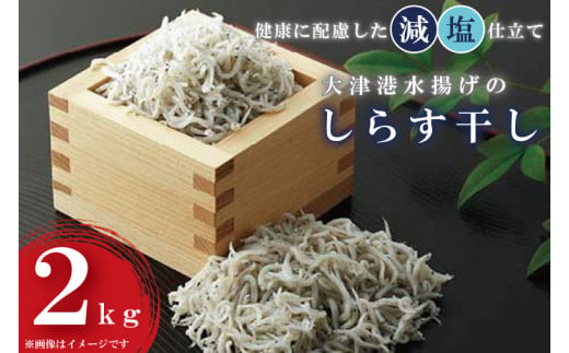 大津港水揚げのしらす干し2kg（1kg×2個）シラス（AS201）