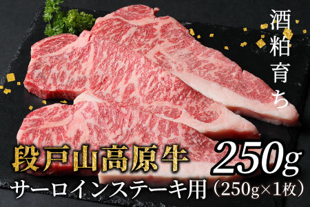 酒粕育ち 幻の牛 段戸山高原牛 サーロイン ステーキ用 1枚（250g×1） 蓬莱泉 ステーキ バーベキュー 焼肉 BBQ -077
