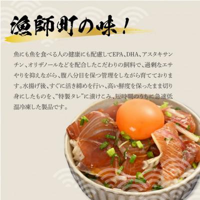 ふるさと納税 土佐市 訳あり　活き締めブリの醤油漬け丼(10P)セット |  | 01