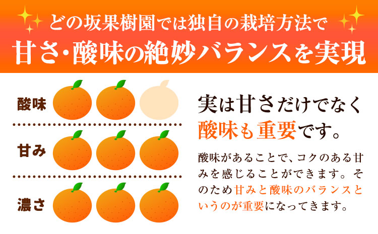 【先行予約】早生 みかん 約 5kg (2S～Lサイズ) どの坂果樹園《12月上旬-1月末頃出荷予定》 和歌山県 日高町 みかん 早生 旬 柑橘 フルーツ 果物 蜜柑 ミカン 2026年出荷出荷