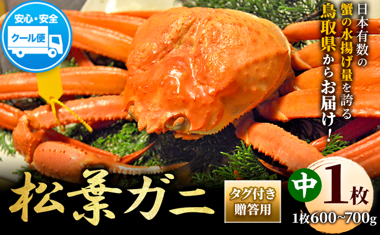 ＼12/23決済完了分まで年内配送／カニ 松葉ガニ タグ付き 贈答用 中サイズ(600g〜700g)1枚《11月中旬-3月中旬出荷予定》鳥取県 八頭町 送料無料 蟹 かに 海鮮 松葉ガニ 贈答 タグ付 冷蔵 鍋 しゃぶしゃぶ【配送不可地域あり】