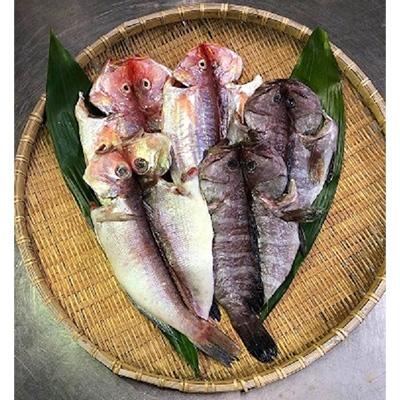 ふるさと納税 西尾市 元漁師が作る高級魚セット・T018-22 |  | 01