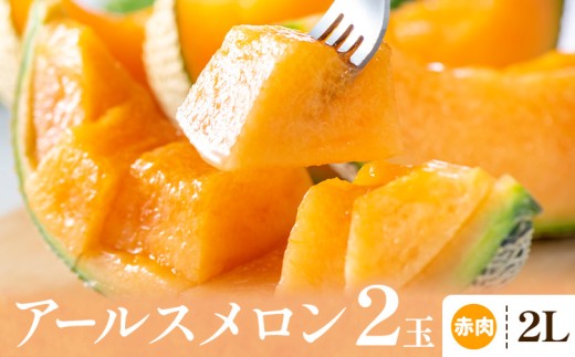 アールスメロン 赤肉 2Lサイズ 2玉 石下農園 《10月中旬-11月上旬頃出荷予定》栃木県 芳賀町 果物 フルーツ メロン 国産 ギフト 贈答 【配送不可地域あり】(沖縄・離島)