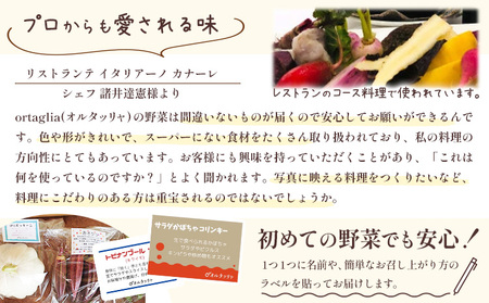 季節の旬野菜 おまかせセット 10種 3回 隔月定期便 （農薬・化学肥料不使用）オルタッリャ 《お申込み月の翌月から出荷開始》【配送不可地域あり】 