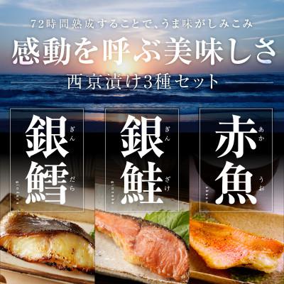 ふるさと納税 泉佐野市 熟成西京漬け 3種16切れ 食べ比べ(銀だら/銀鮭/赤魚) 訳あり サイズ不揃い 099H3377 |  | 01