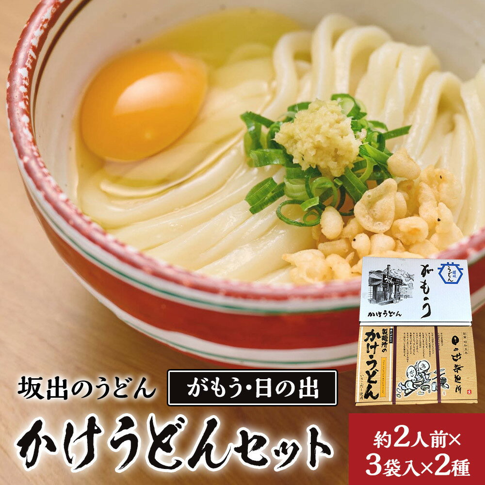 【ふるさと納税】【坂出のうどん】がもうと日の出のかけうどんセット 約2人前×3袋入×2種 | 日の出製麺所 坂出市 四国 うどん 讃岐うどん さぬきうどん 生うどん 麺 生麺 常温 詰め合わせ 食べ比べセット お取り寄せグルメ 取り寄せ グルメ ご当地グルメ 麺類 かけうどん