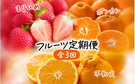 【3回定期便】【1・2・3月】紀州和歌山産旬のフルーツセット(いちご4P・ポンカン・紀州デコ約5kg)全3回 【tkb450】
