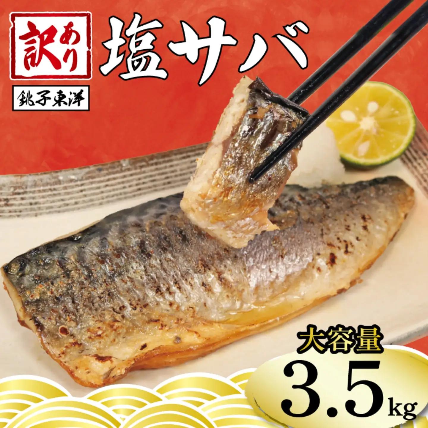 訳あり 塩サバ フィーレ 約3.5kg 冷凍 おかず 惣菜 鯖 さば 魚 海鮮 大容量 銚子 訳あり 大人気サバ 訳あり 人気サバ 訳あり 海鮮サバ 訳あり 冷凍サバ 訳あり 塩 サバ 訳あり 切り身 訳ありサバ 骨付きサバ 訳あり 銚子東洋 訳あり さば カテゴリ 1位