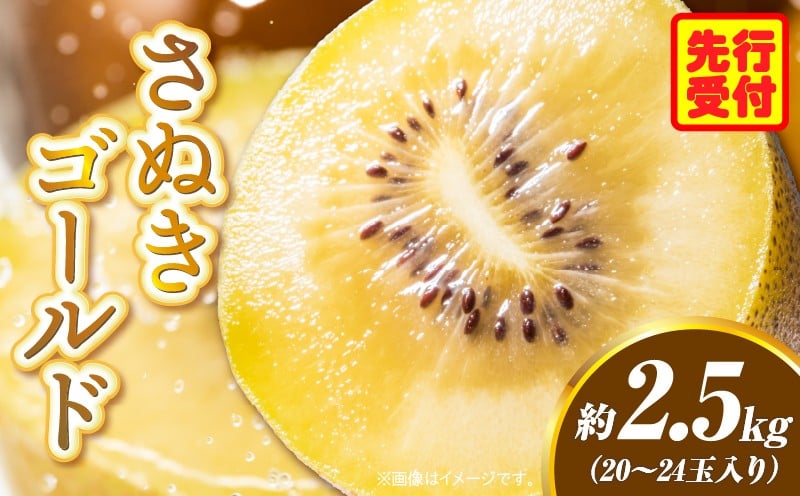 
            香川県オリジナルキウイフルーツ「さぬきゴールド」約 2.5kg【香川県共通返礼品】 | 果物 フルーツ 青果 青果物 キウイ さぬきゴールド デザート 果実 贈答 贈り物 ギフト 甘い 追熟 ジューシー 糖度が高い 季節のフルーツ 旬 おすすめ 香川県 三木町 |_mk006-020
          